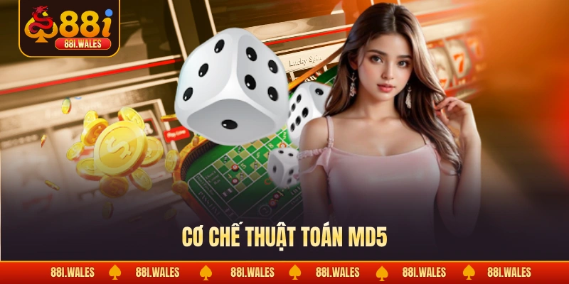 Tài Xỉu MD5 - Khám Phá Cơ Chế MD5 & Ưu Điểm Sản Phẩm 3 Cơ chế thuật toán MD5